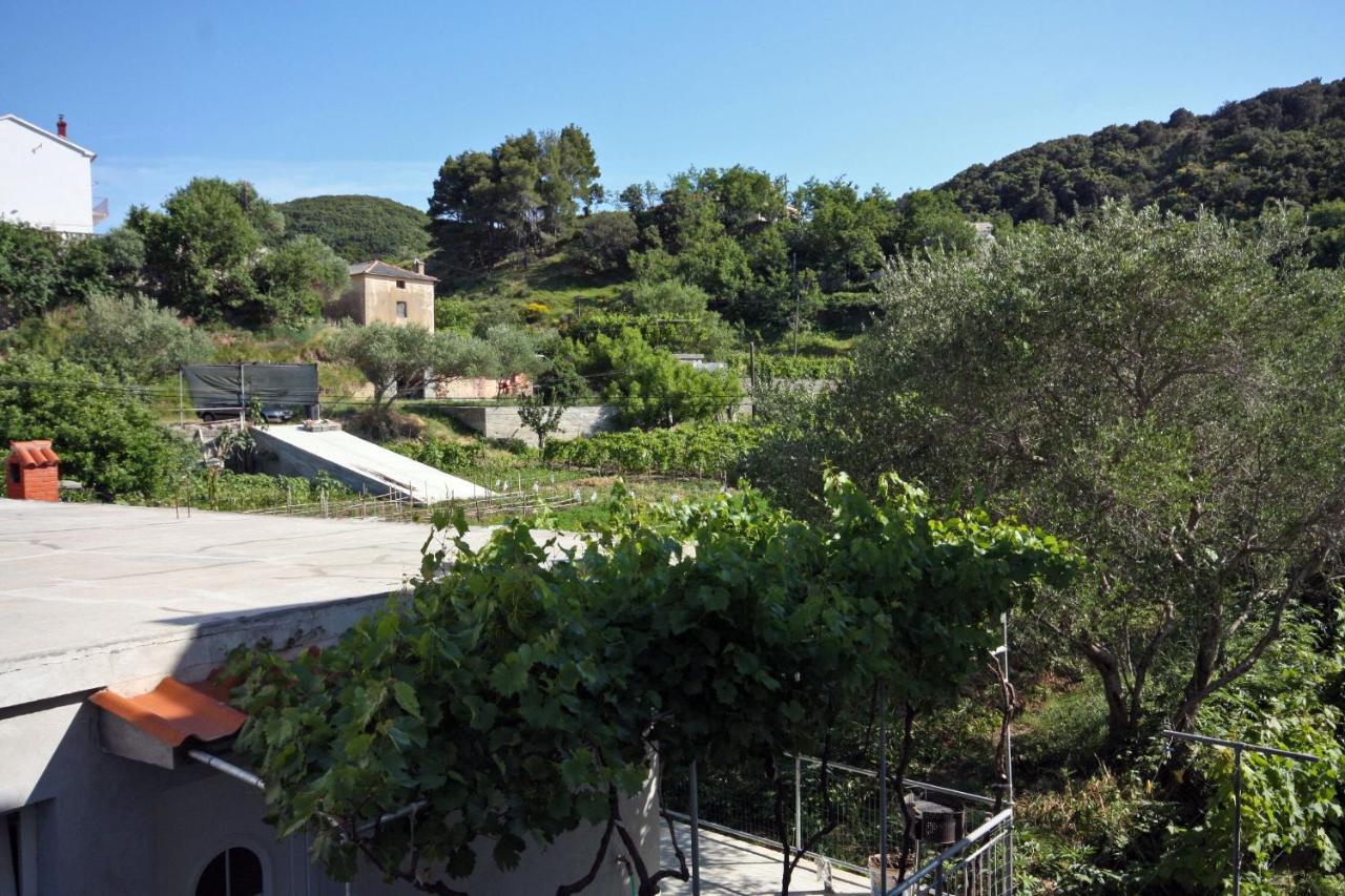 Family Friendly Apartments With A Swimming Pool Supetarska Draga - Donja, Rab - 2019 Buitenkant foto